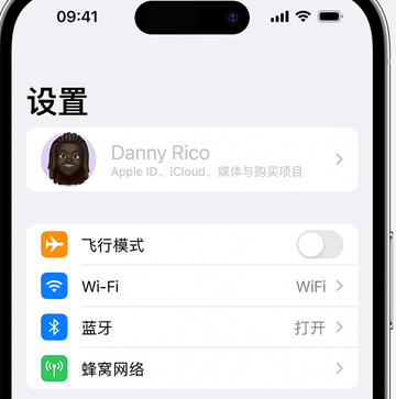 百色appleID维修服务iPhone设置中Apple ID显示为灰色无法使用 