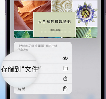 百色apple维修中心分享iPhone文件应用中存储和找到下载文件