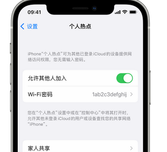 百色apple服务站点分享iPhone上个人热点丢失了怎么办 