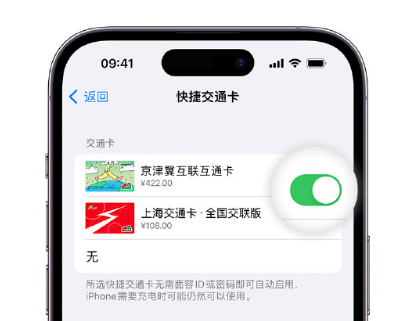 百色apple维修点分享iPhone上更换Apple Pay快捷交通卡手绘卡面 