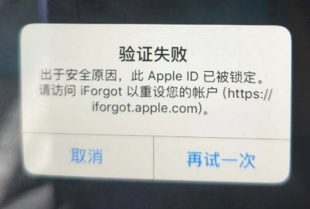 百色iPhone维修分享iPhone上正常登录或使用AppleID怎么办 