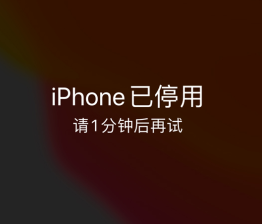 百色苹果手机维修分享:iPhone 显示“不可用”或“已停用”怎么办？还能保留数据吗？ 