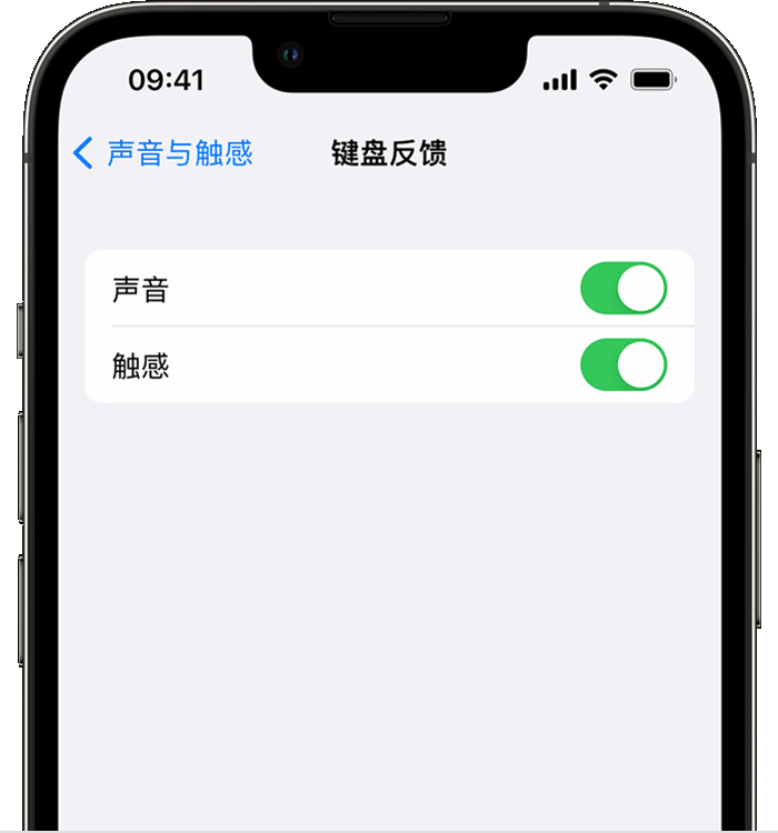 百色苹果14维修店分享如何在 iPhone 14 机型中使用触感键盘 