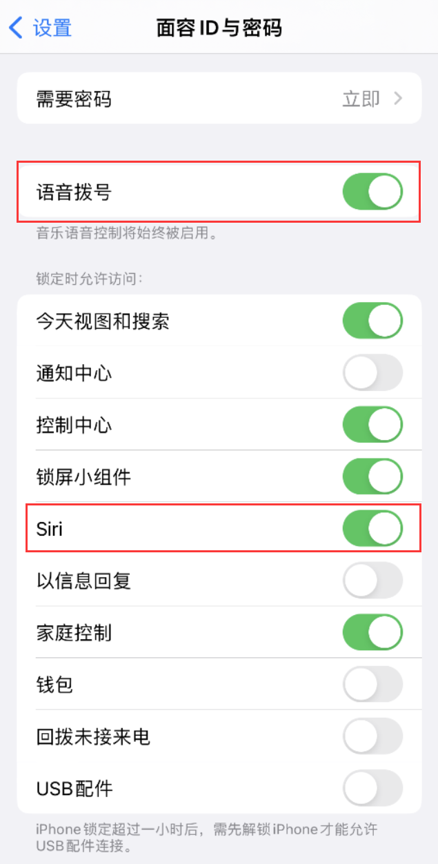 百色苹果维修网点分享不解锁 iPhone 的情况下通过 Siri 拨打电话的方法 