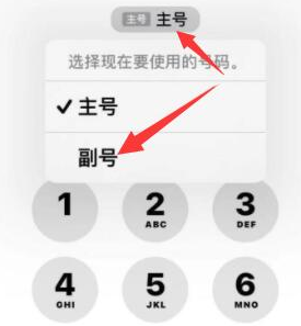 百色苹果14维修店分享iPhone 14 Pro Max使用副卡打电话的方法 