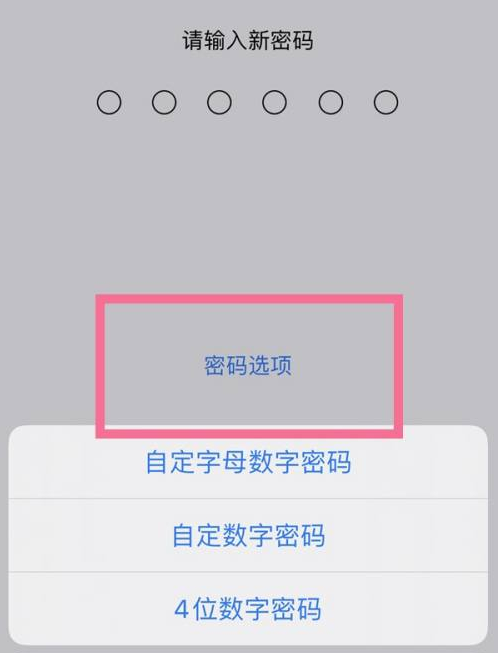 百色苹果14维修分享iPhone 14plus设置密码的方法 