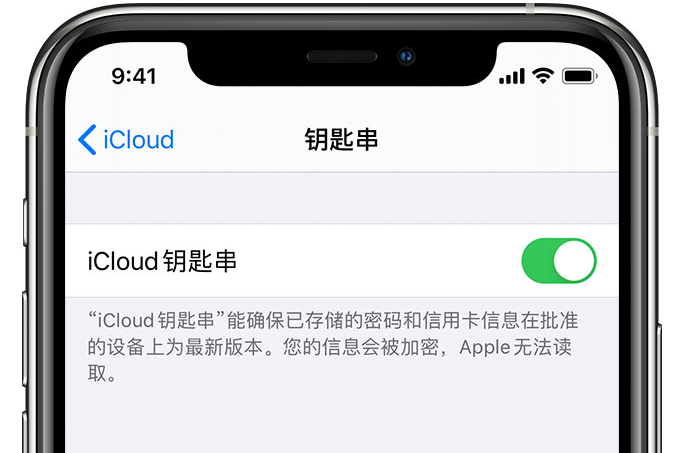 百色苹果手机维修分享在 iPhone 上开启 iCloud 钥匙串之后会储存哪些信息 