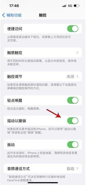 百色苹果手机维修分享iPhone手机如何设置摇一摇删除文字 